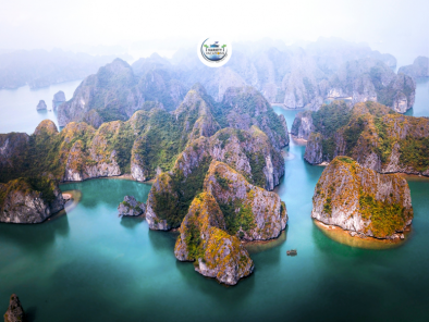 Vibrant Vietnam: A Journey Through Tradition and Tranquility