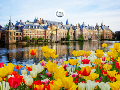 The Netherlands: A Journey Through Canals and Tulip Fields